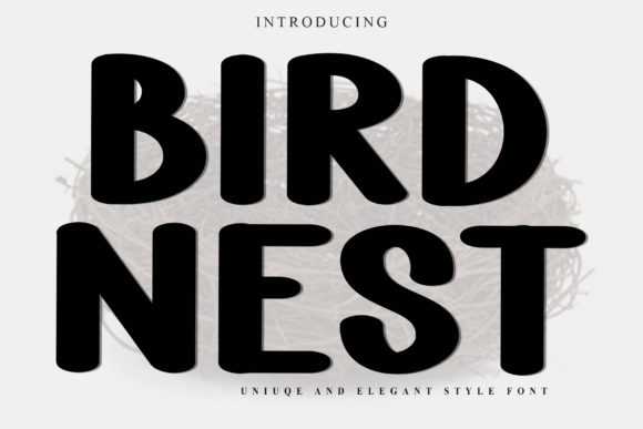 Bird Nest: A Display Font That Adds Warmth to Your Brand