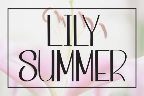 Lily Summer: A Display Font That Feels Like Sunlight